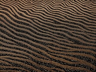 Fototapeta premium texture of a carpet