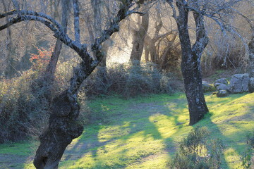 Parque Natural de Sierra Morena - Año 2015 - 49