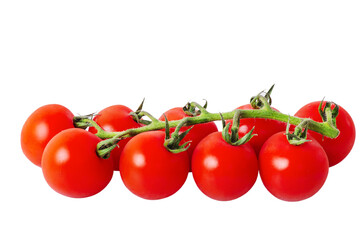 Red ripe cherry tomatoes on a branch isolate on a white background. Vegetable tomatoes.