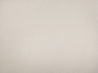 Fototapeta premium paper texture