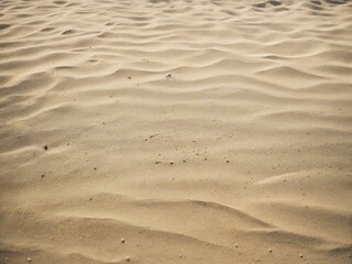 Fototapeta premium footprints in the sand