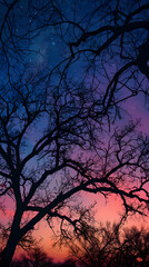 Nature's Palette: A Romantic Symphony between Azure Night Skies and a Dusky Horizon