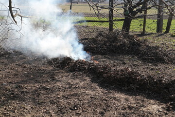 Fire and smoke from dry leaves. Burning dry leaves in the garden.