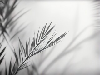 Fototapeta premium grass