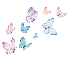 pink set butterfly pink art colorful  watercolor blue butterfly set illustration design for fashion, t shirt, print, graphic all type decorative	