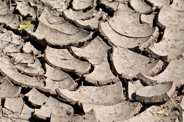Extremely dried soil. Cracked mud. Global warming concept. Drought period. Climate change.