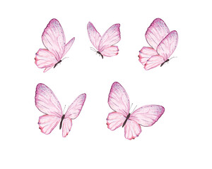 pink set butterfly pink watercolor blue butterfly set illustration design for fashion, t shirt, print, graphic all type decorative	