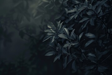 A close-up shot of dark green leaves, capturing their intricate details and the moody, mysterious ambiance created by the shadowy lighting.

