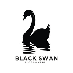 black swan logo design vector illustration