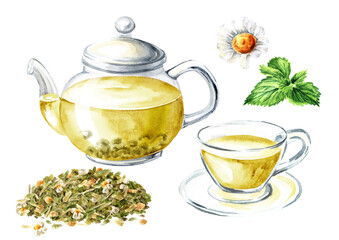 Glass transparent teapot and a cup set, with Herbal tea. Hand drawn watercolor illustration isolated on white background