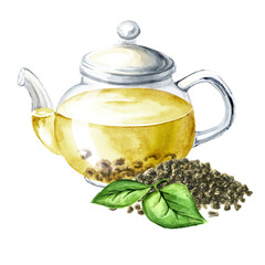 Glass transparent teapot with Gunpowder tea. Hand drawn watercolor illustration, isolated on white background
