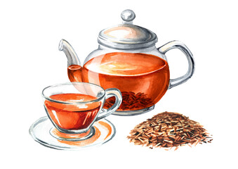 Glass transparent teapot with Rooibos tea. Hand drawn watercolor illustration isolated on white background