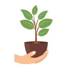 Hand holding a young tree in a pot, hand carrying small plant sprouts, hand lifting a flower pot