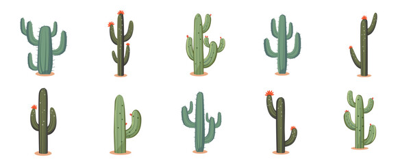 Cactus plant set, collection of cactuses tree, flat design vector illustration