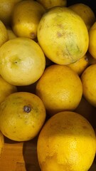 Close up pile of tasty fresh limes sold at the market as a background.
