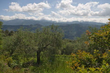 Panorama de Ligurie, Italie