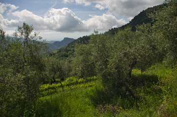 Panorama de Ligurie, Italie