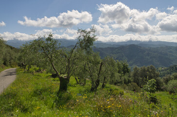 Panorama de Ligurie, Italie