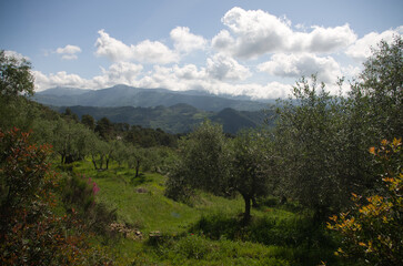 Panorama de Ligurie, Italie