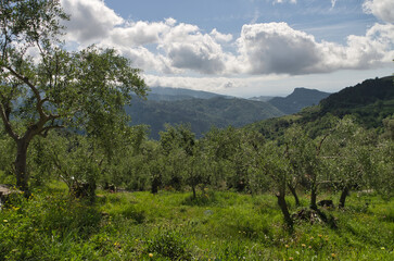 Panorama de Ligurie, Italie