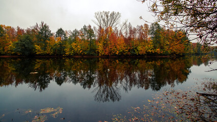 Autumn trees on the lake shore in the cloudy day.