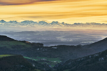 Baselland,Wasserfallen,Chellenchöpli,Wasserfallen region,Waldenburg,Switzerland,Baselbiet,Hinteri Egg,Herzogenbuchsee, forest pasture,winter,