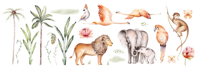 Watercolor illustration of African Animals: elephant and monkey, cockatoo, wild parrot and giraffe, flamingo isolated white background. Safari savannah animals. © kris_art