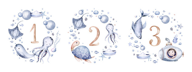 frame of sea animals. Blue watercolor ocean fish wreath, turtle, whale and coral. Shell aquarium mermaid submarine. Nautical dolphin marine illustration, jellyfish, starfish