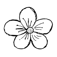 Flower. Nature. A sketch. A hand-drawn drawing. A design element. Clip-Art
