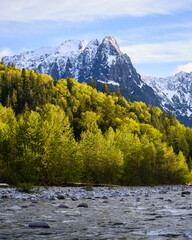 Snow on peak of Mount Index above green trees and North Fork Skykomish River in the Cascade Mountains of Washington State in spring