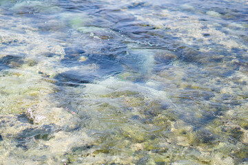 Sea Turtle Swimming across Crystal Sea Waters and Waves in Taiwan Xiaoliuqiu