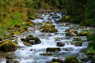 Wild and scenic river flowing over large boulders in Cascade Mountains