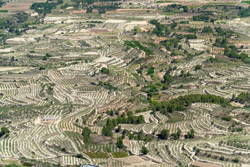 Aerial view of crop fields