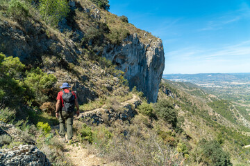 Fototapeta premium Unrecognizable person hiking on a summer day, outdoors