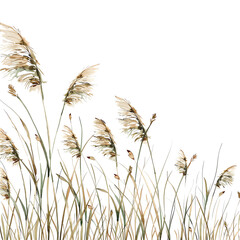 The image shows a field of tall grass blowing in the wind. The grass is a light brown color and the background is black.
