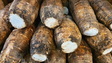 Close up pile of tasty fresh raw organic brown taro root ready to cook sold at the market as a...