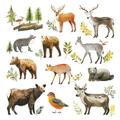 The image shows a variety of animals in a forest setting