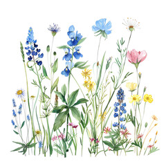 The image shows a variety of wildflowers in full bloom