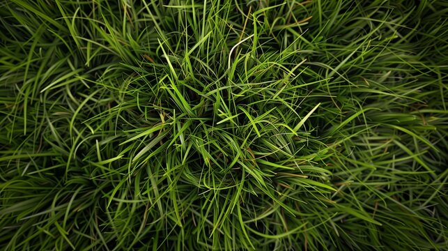 texture of a field with a green grass AI generation.