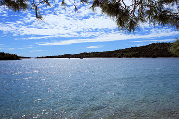 nature between Tisno and Jezera, island Murter, Croatia