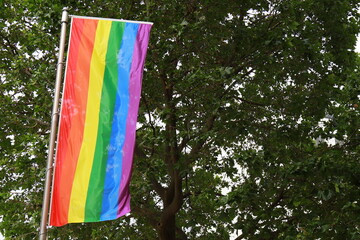 LGBT organization realistic flag includes lesbian, gay, bisexual and transgender people. Gay pride...
