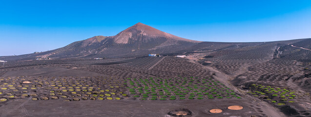 Lanzarote Canary Island - Panoramic view of La Geria, plantation of vines and vineyards in volcanic...