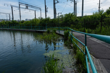 Waterway in the Park. A path along the lake with safety rails. Algae on the water
