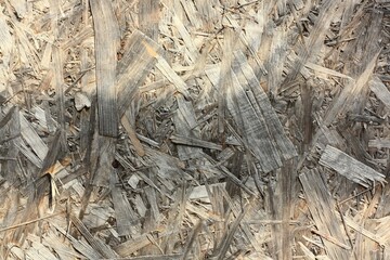Wooden sawdust background