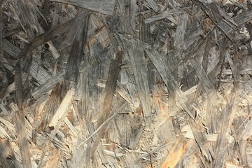 Wooden sawdust background
