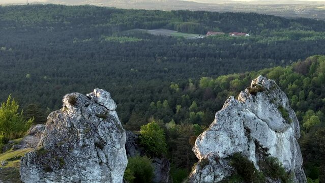 Zborow Mountain in the entire Krakow Czestochowa Upland, Poland