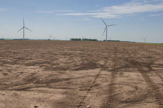 severe wind erosion on a field of corn