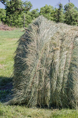 round bale of grass hay