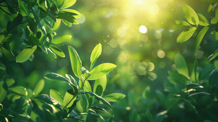 Sunlight filters through green leaves, casting a warm, soft glow that suggests a serene, lush garden or forest, with hints of bokeh in the background.