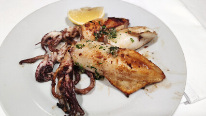 grilled cuttlefish as sea food ready to eat